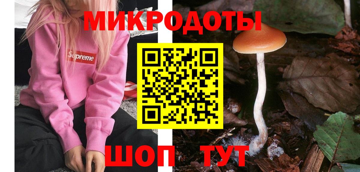 Псилоцибиновые грибы GOLDEN TEACHER  Вход с VPN  Корсаков  Псилоцибиновые грибы прущие грибы 